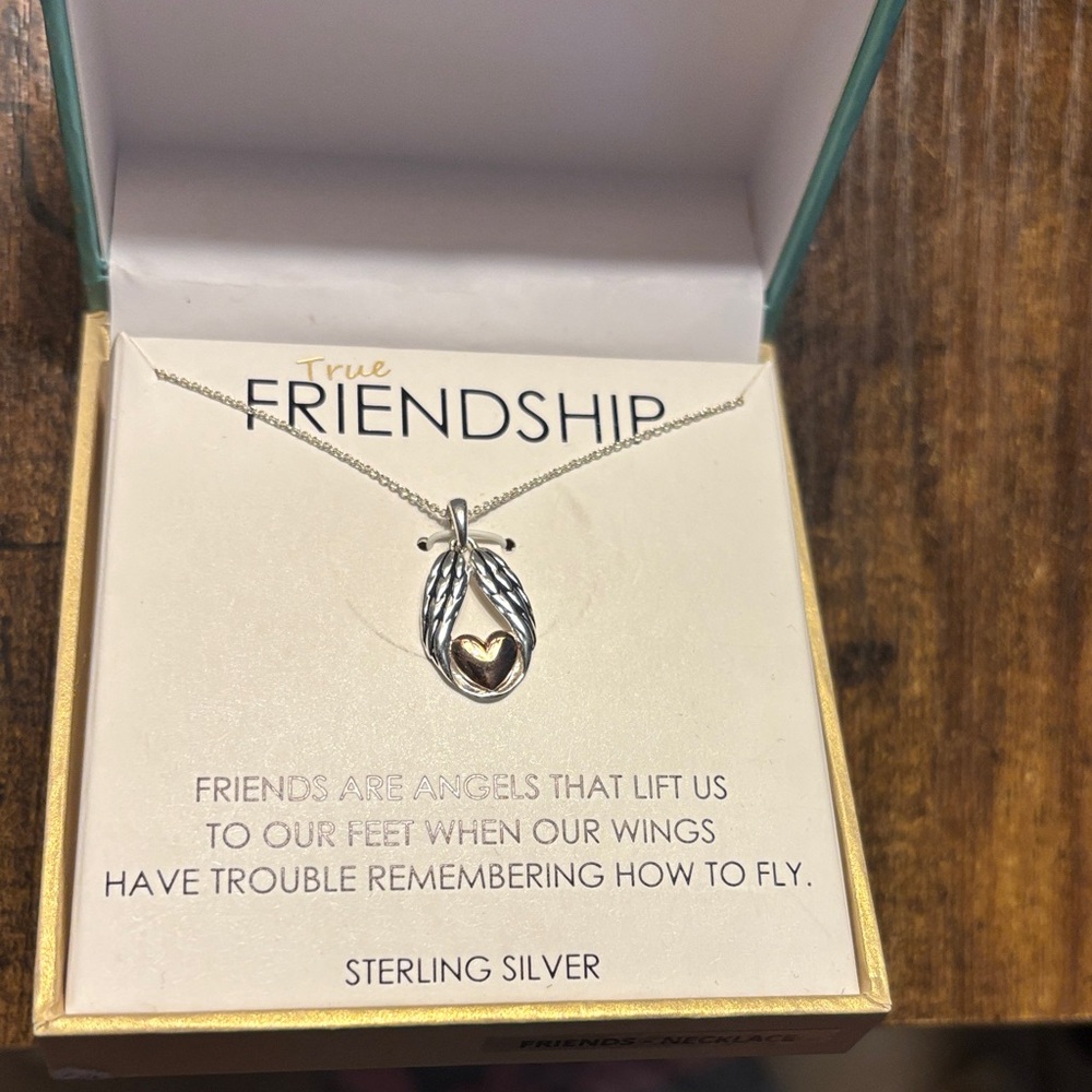 Sterling Silver Necklace with Gold Heart